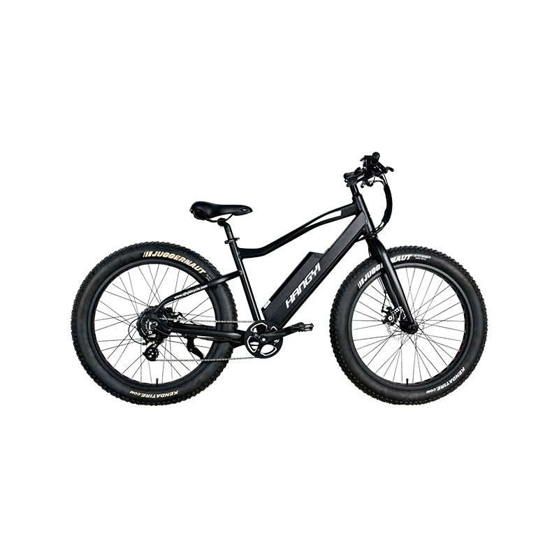Was sind die wichtigsten Unterschiede zwischen Hardtail- und Full-Suspension-Bergbikes?