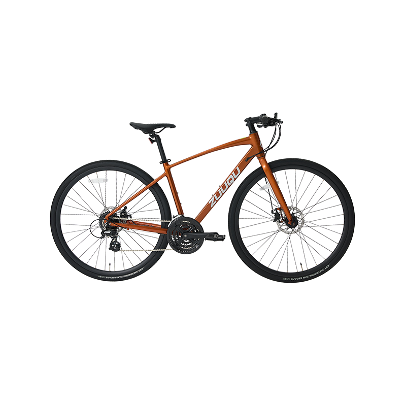 700 ° C Drehmoment Speed ​​Roadbike