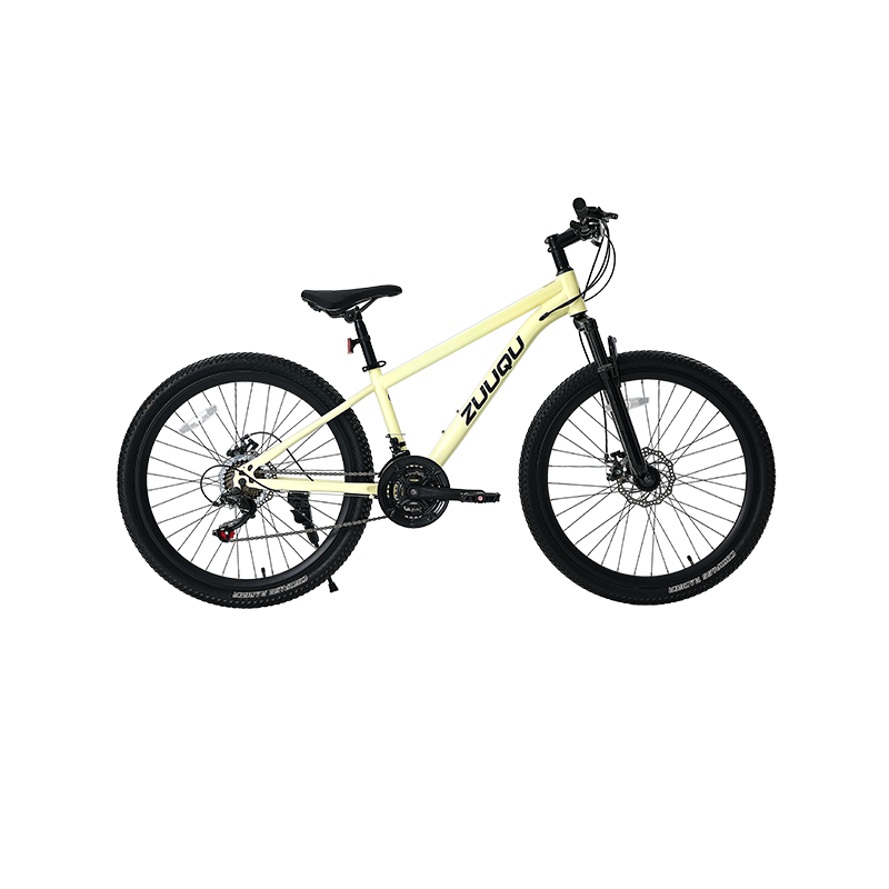 21 Geschwindigkeitsscheibenbremse 26 "MTB