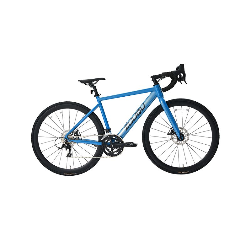 700C Erwachsener Hochleistungs -Roadbike