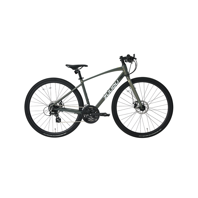 700c Leichtmetallrad -Radradebike